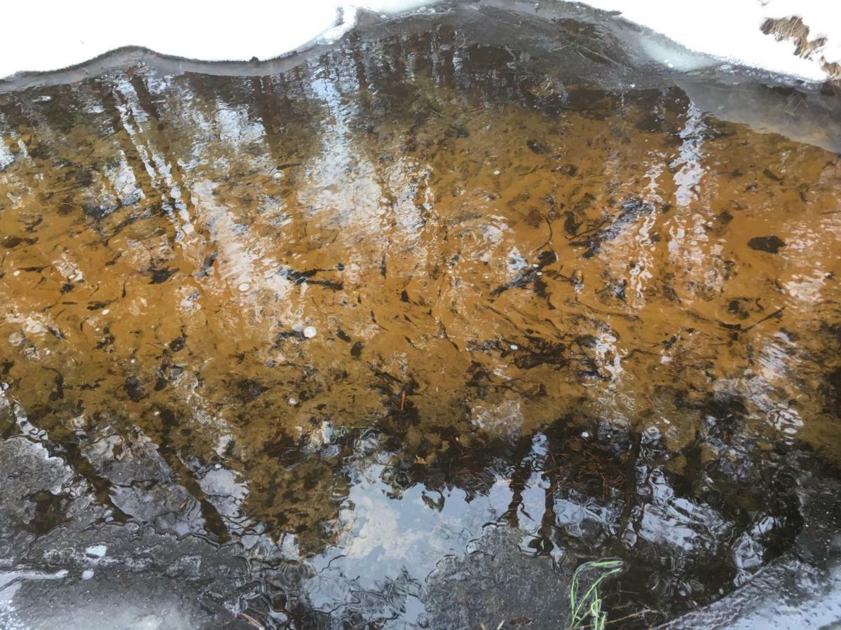 Vila Migla Paseksciai Exteriér fotografie
